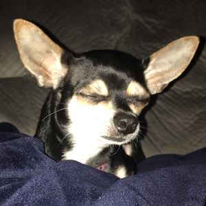 Meet your Posher, Miranda